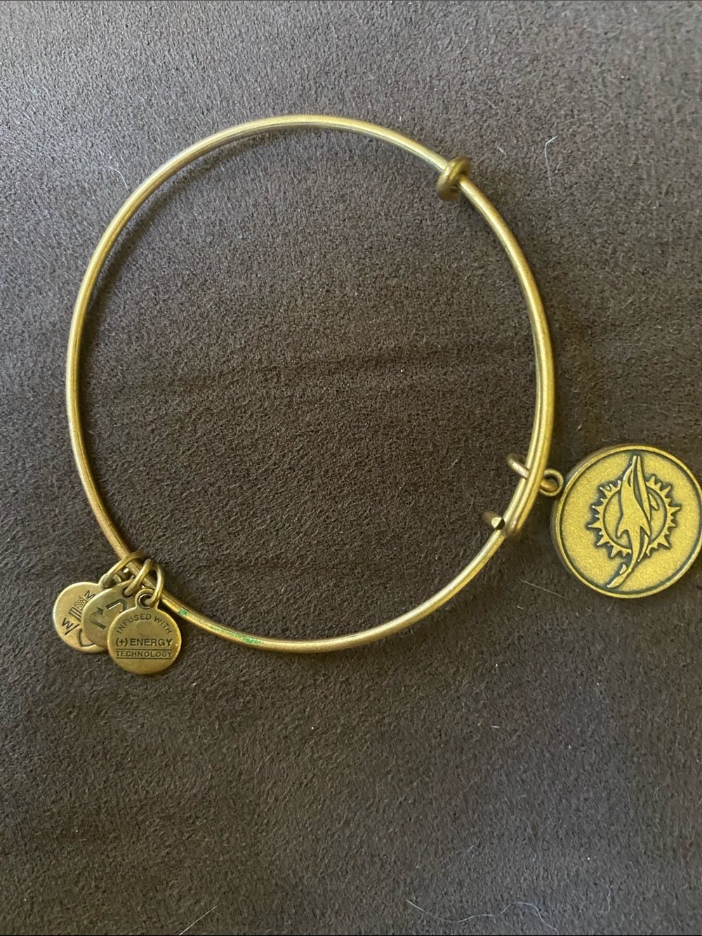 Alex and Ani Gold-Tone Medallion Miami dolphins Charm Bangle Bracelet